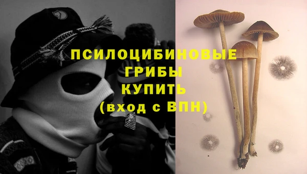 прущие грибы Бугульма