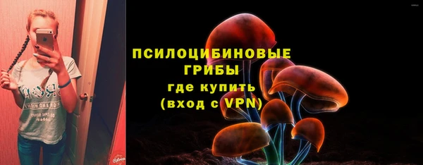 соль курить ск Бородино