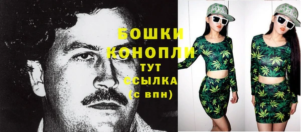 прущие грибы Бугульма