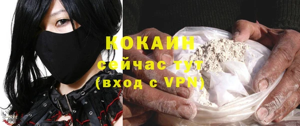 прущие грибы Бугульма